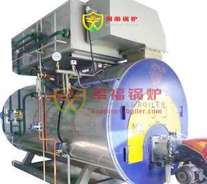 Gas fired boilers